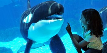 シーワールド・サンディエゴ / SeaWorld San Diego